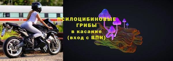 СК Балахна